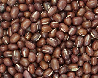 Adzuki bean