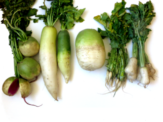 Daikon