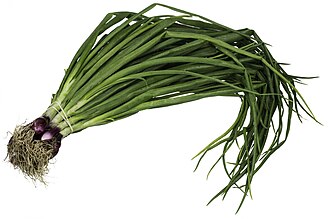 Green onion