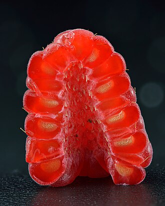 Raspberry