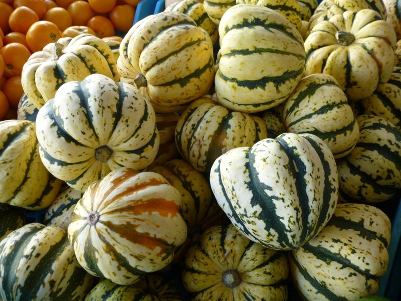 Acorn squash