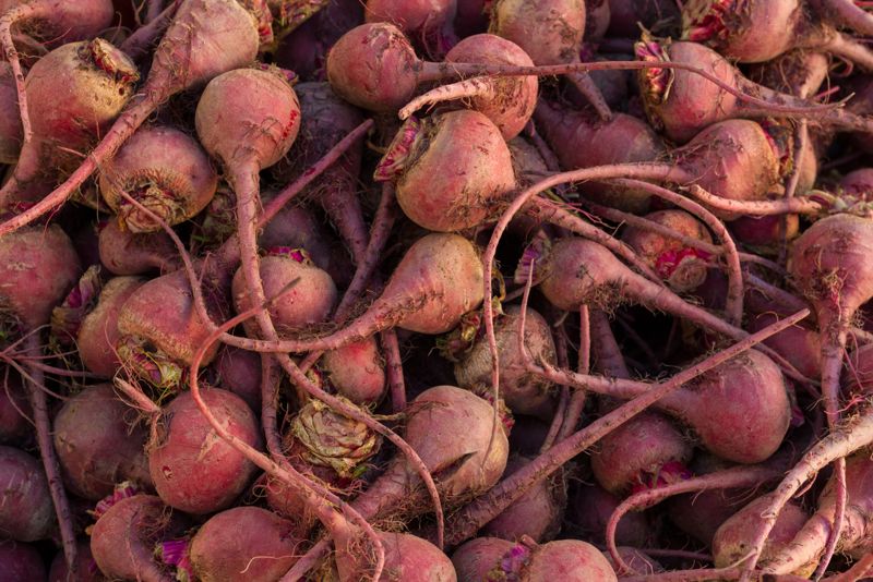 Beet