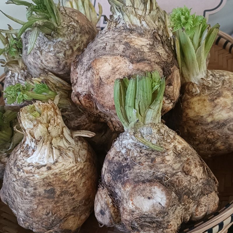 Celeriac