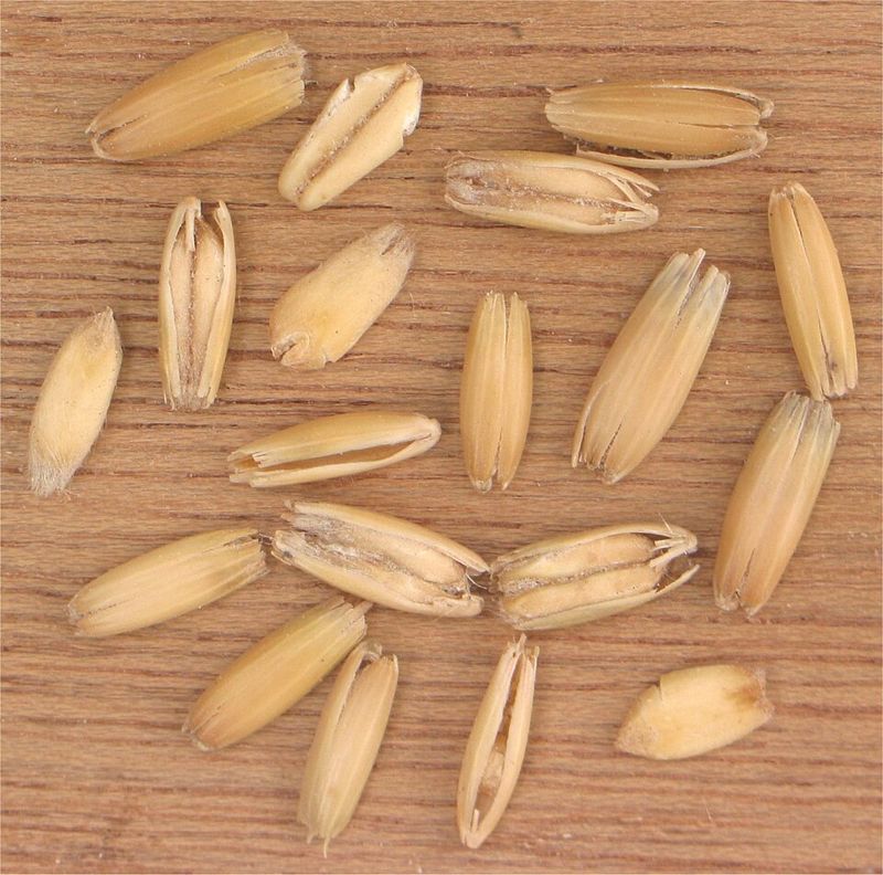 Oats