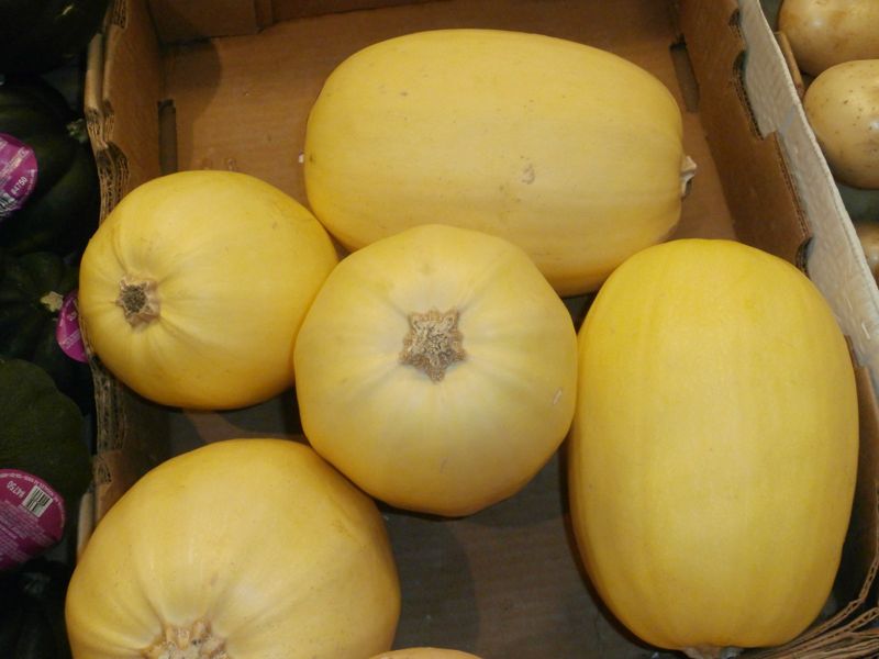 Spaghetti squash