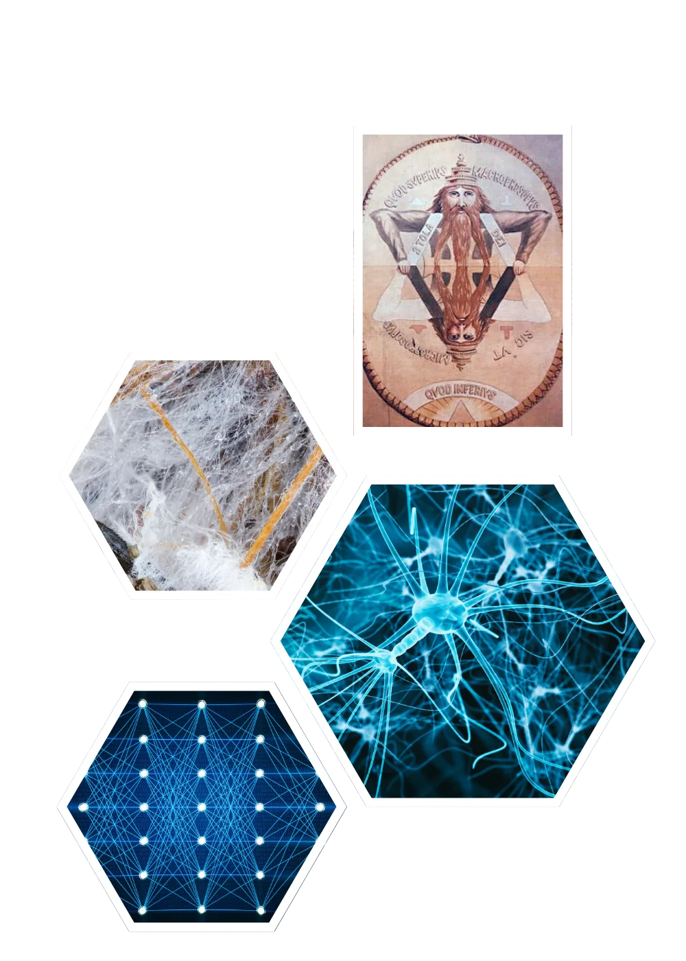 Hexagonal mycelium network illustration