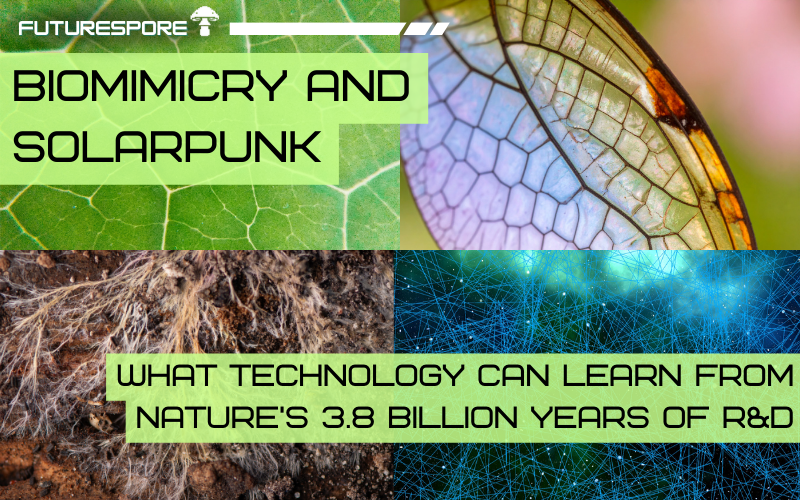 Biomimicry and Solarpunk: What Technology Can Learn from Nature
