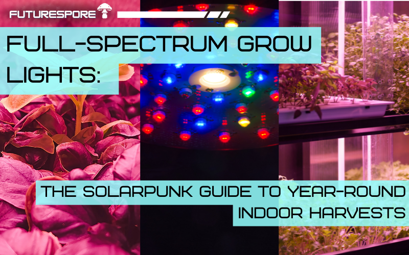 A homemade indoor grow shelf with full-spectrum LED lights illuminating lettuces, basil, and microgreens