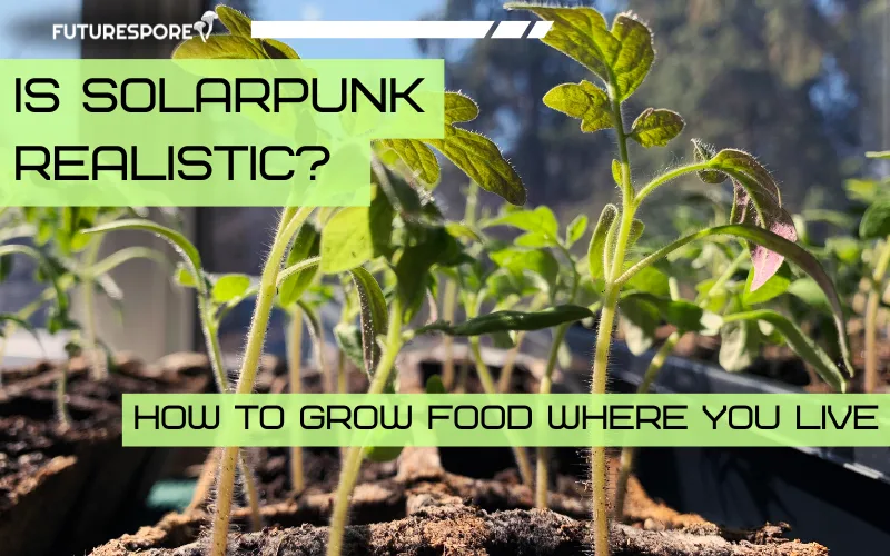 Is Solarpunk Realistic? How to Grow Food Where You Live