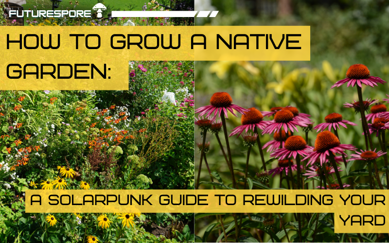 How to Grow a Native Garden: A Solarpunk Guide to Rewilding Your Yard
