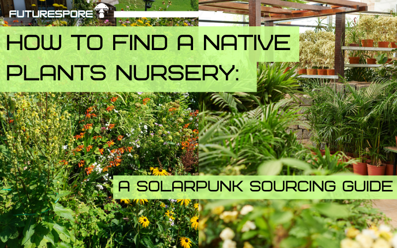A small independent native plant nursery with rows of potted seedlings under a hoop house