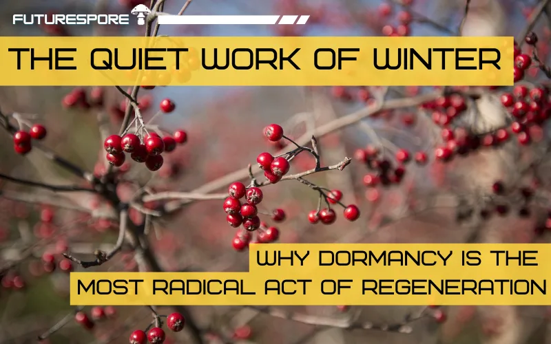 The Quiet Work of Winter