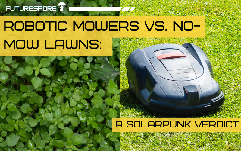 A robotic lawn mower next to a wild no-mow lawn full of clover, dandelions, and violets