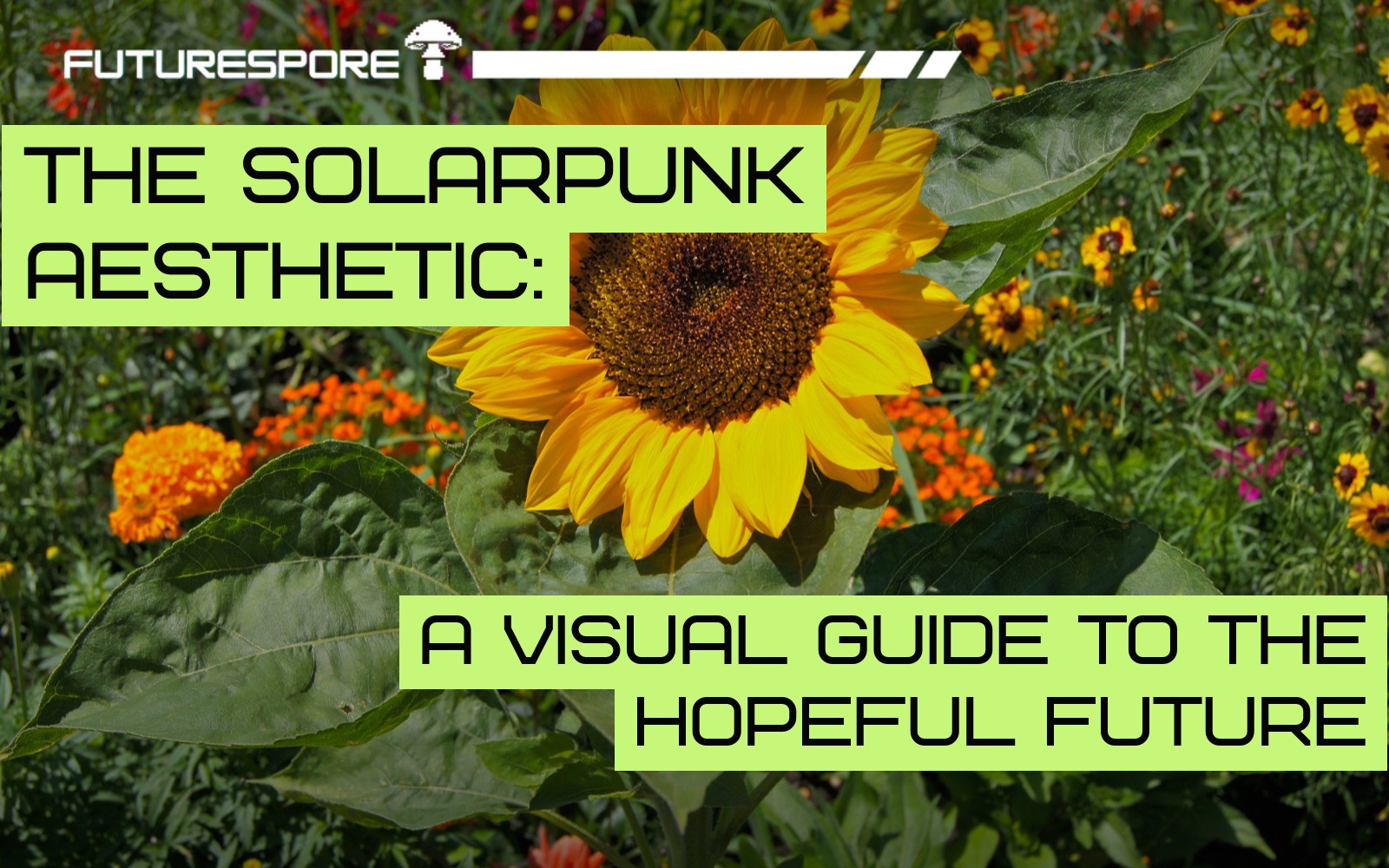 Sunflower (Helianthus annuus) photographed in close detail, under a lime headline bar reading “The Solarpunk Aesthetic: A Visual Guide to the Hopeful Future”