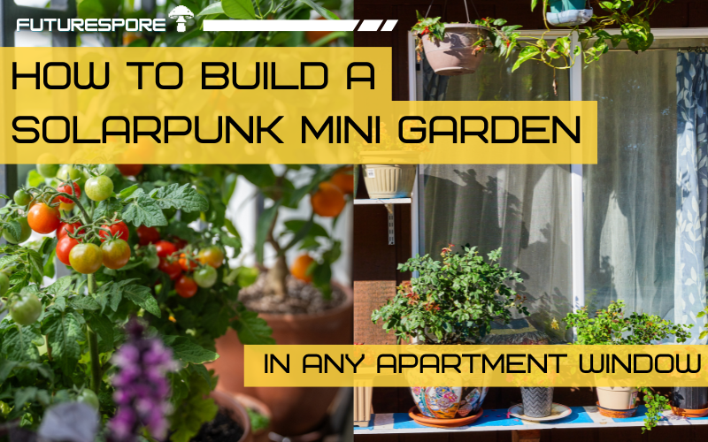 A tiered mini garden in a sunny apartment window with herbs, microgreens, and small edibles