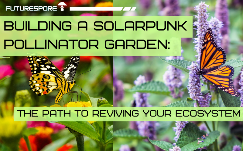Building a Solarpunk Pollinator Garden