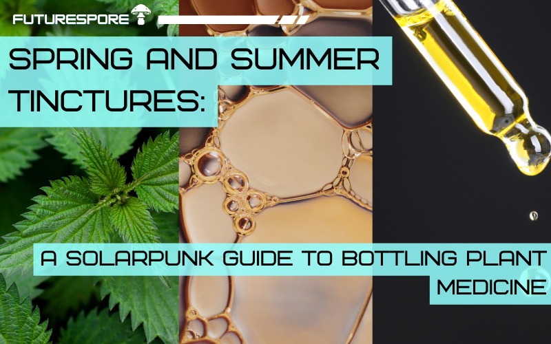 Spring and Summer Tinctures: A Solarpunk Guide to Bottling Plant Medicine