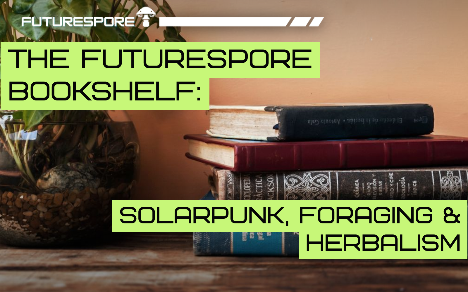 A shelf of books on solarpunk fiction, foraging, and herbalism