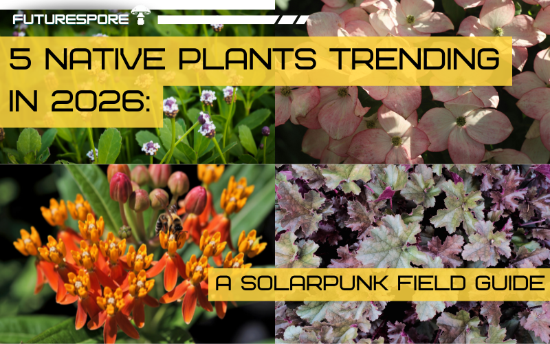 A composite native plant garden featuring coral bells, frogfruit, butterfly weed, dogwood, and blue flag iris in bloom
